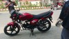 walton cruize 100cc